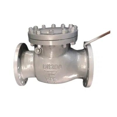 4 pollici CF8 WCB Acciaio al carbonio Flange Swing Check Valve Certificato completo e manuale