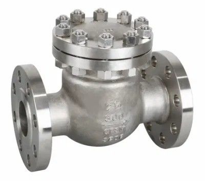 4 pollici CF8 WCB Acciaio al carbonio Flange Swing Check Valve Certificato completo e manuale