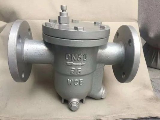 Valvola a trappola di vapore inversa resistente con supporto OBM personalizzato e corpo di ferro duttile