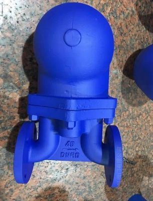 Valvola a trappola di vapore inversa resistente con supporto OBM personalizzato e corpo di ferro duttile
