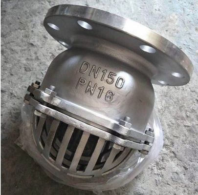 Struttura di arresto Flanella fine duttile Accessoio in ghisa di aspirazione Valvola a piedi per prestazioni