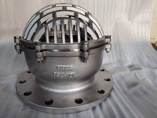 Funzionamento e supporto affidabili per la valvola di punta di ferro fuso