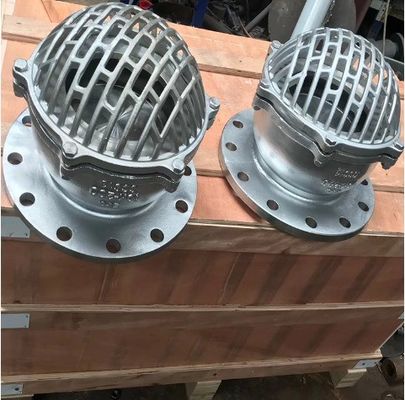 Funzionamento e supporto affidabili per la valvola di punta di ferro fuso