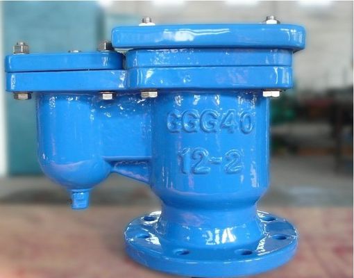 Servizio standard Valvola di rilascio automatico di aria da 4 pollici di ferro flessibile per esigenze personalizzate