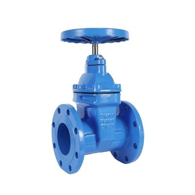 Valvola di rilascio dell'aria automatica a doppia sfera di ghisa flessibile PN10 PN16 DN50-DN300