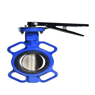 Valvola di rilascio dell'aria automatica a doppia sfera di ghisa flessibile PN10 PN16 DN50-DN300