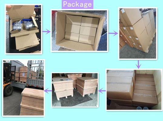 Valvola a sfera di ottone per disidratazione 2 PCS con istruzioni Manuale di riferimento e disidratazione