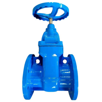 Industria BS5163/ EN 1171 PN25 Valvola di cancello in ferro flessibile a seduta resiliente con fusto ascendente
