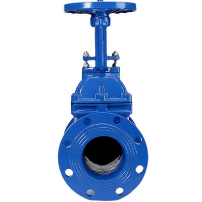 Tipo Y personalizzabile a vite interne Stem Soft Seal Gate Valve con flange in acciaio inossidabile