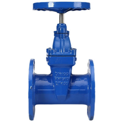 Tipo Y personalizzabile a vite interne Stem Soft Seal Gate Valve con flange in acciaio inossidabile