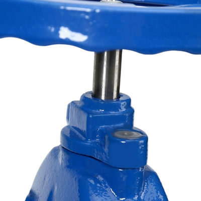 Tipo Y personalizzabile a vite interne Stem Soft Seal Gate Valve con flange in acciaio inossidabile