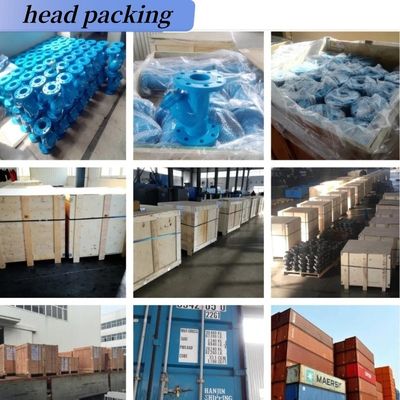 Valvola di porta resistente alle alte temperature Acciaio fuso Acciaio inossidabile per tipo flange