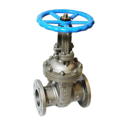 Valvola di porta di flange a tronco elevato industriale in acciaio al carbonio tipo Y DN80 PN16 con raccordi per tubi